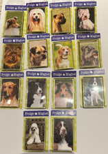 Dog Various Breeds  Fridge Magnet
