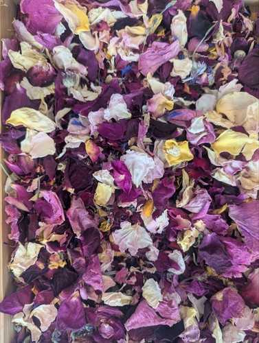 Natural dried flower confetti - flower,