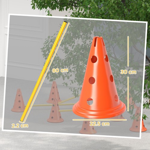 Cone dog agility - 8,