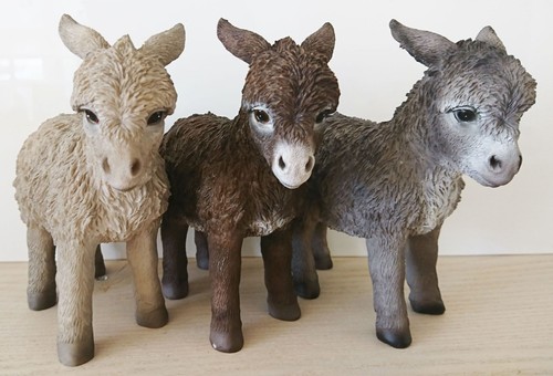 Donkey standing lifelike - -,