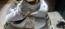Rodrigo lopez World Cup