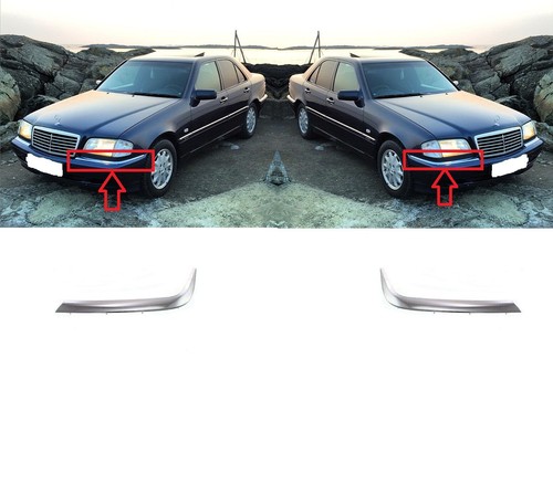Front bumper molding - front, chrome