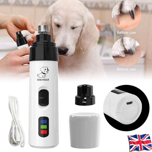 Pet dog cat nail claw - cat,