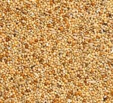 Budgie Food Mix Red White