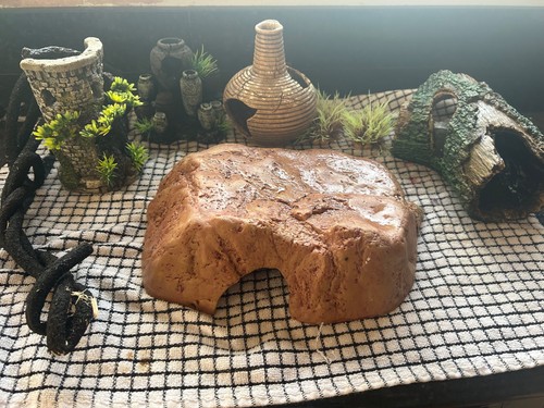 Reptile vivarium accessories - vivarium,