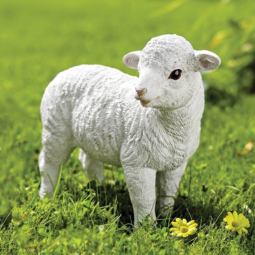 Larry the baby lamb - the,