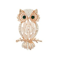 Stunning Owl Opal Brooch