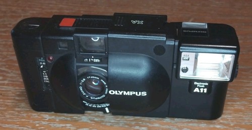 Olympus with a11 flash - a11,