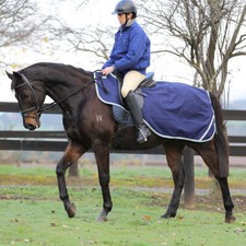 WEATHERBEETA 600D LANDA WATERPROOF WRAP AROUND HORSE/PONY EXERCISE SHEET/RUG