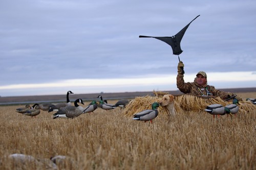Goose decoy ghg - ghg, flag