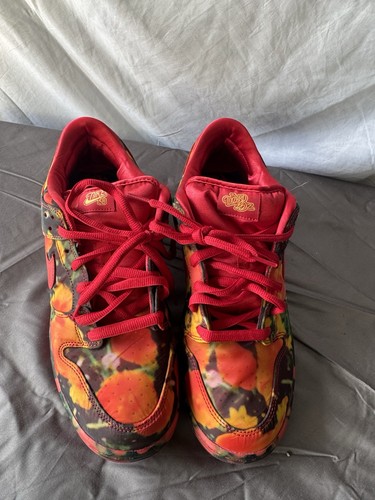 Nike dunk low pro wizard - nike,