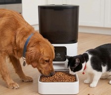 Large 6L SMART Automatic pet