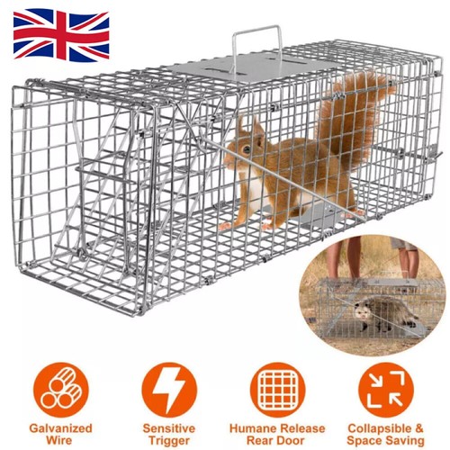Squirrel rat cage large - squirrel,