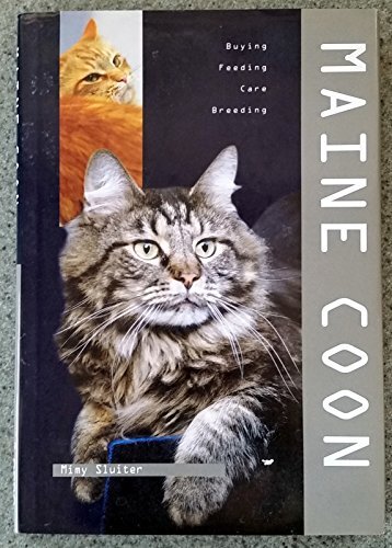 Maine coon sluiter - coon-m,