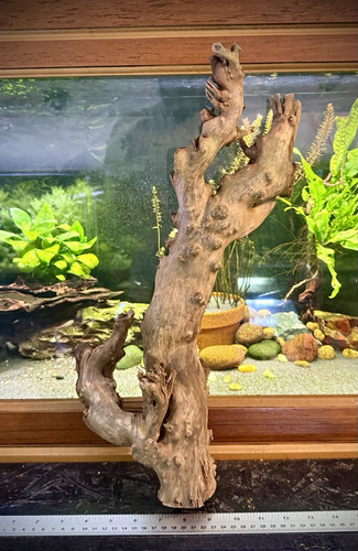 Large aquarium driftwood - aquarium, root