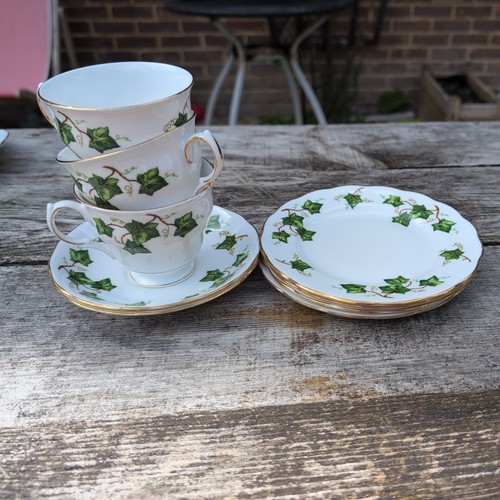 Colclough ivy leaf tea - colclough,