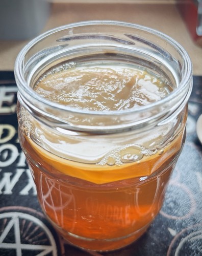Kombucha scoby pellicle - kombucha, scoby,