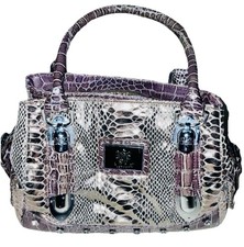 Brown and silver shimmer Chic