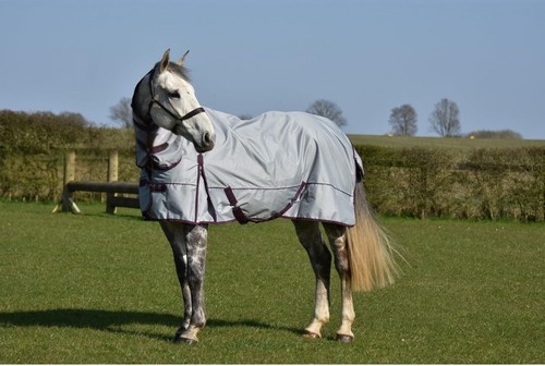 Turnout rug fill horse - rug,