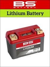 Cagiva W16 600 1994-1997 [BS