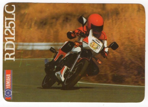 1988 portugese pocket - portugese,