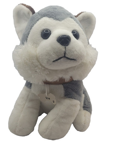 Husky puppy ice - puppy,