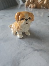 Slyvac Pekingese Puppy No 3164