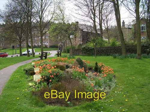 Photo 6x4 millennium green - 6x4,