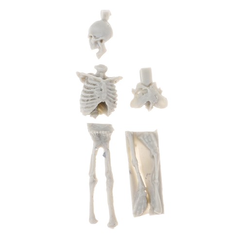 Scale mini resin - 1:35,