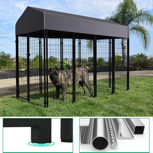 Jumbo outdoor dog - outdoor,