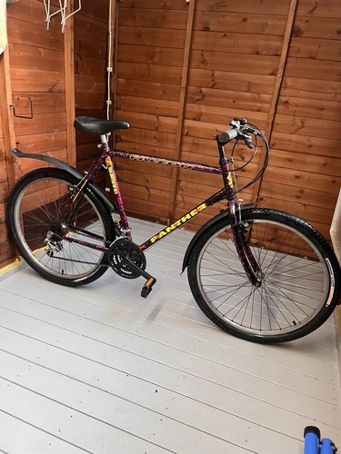 Mens bicycle falcon - -, panther