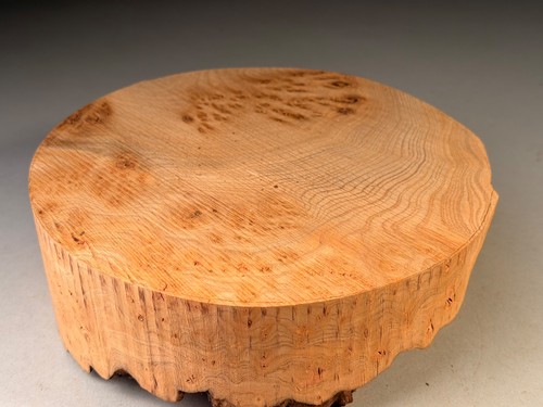 Burr elm wood turning bowl - burr,