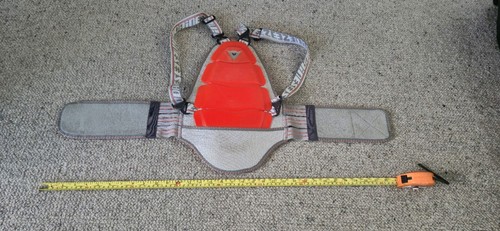Dainese back protector youth - dainese,