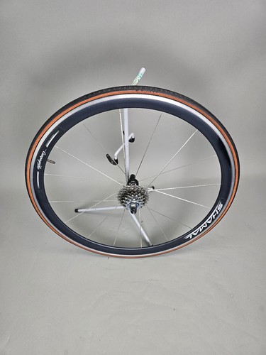 Laurad rim rear campagnolo - laurad,