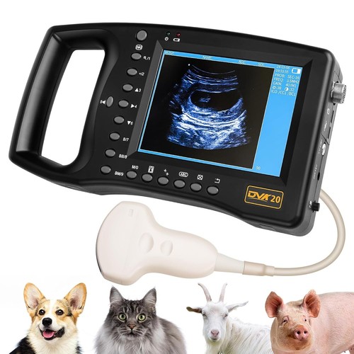 Veterinary ultrasound scanner - veterinary,
