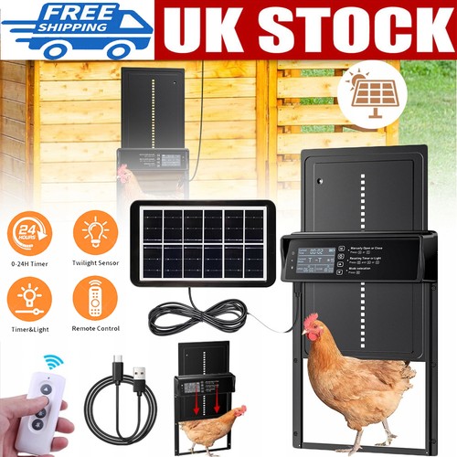Automatic chicken coop door - chicken,