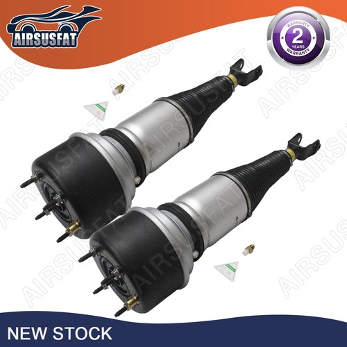 Front air suspension shock - front,