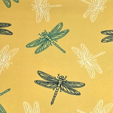 2.4m remnant large DRAGONFLY