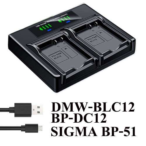 Dual battery charger for - dual,