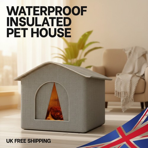 Waterproof stray cat - waterproof,