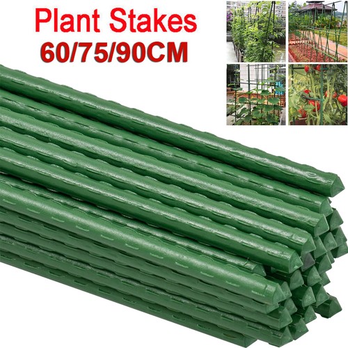 100x plastic coated green - plastic,