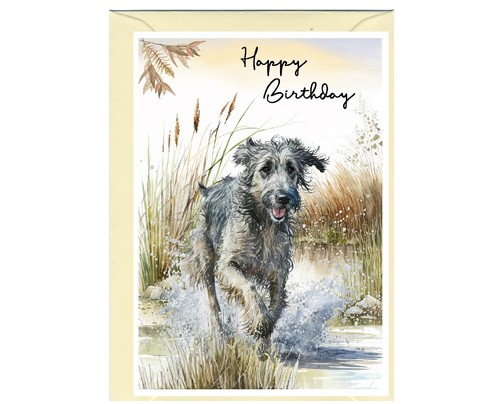 Irish wolfhound dog - irish, (4"x