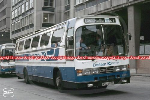 Coach photo eastern - coach,