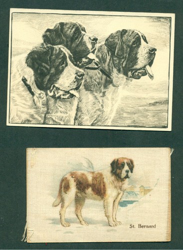 Bernard dog silk - st,