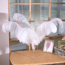 10Pcs /Pack Large Ostrich Feathers For Wedding Party Costume Decoration 25-30cm