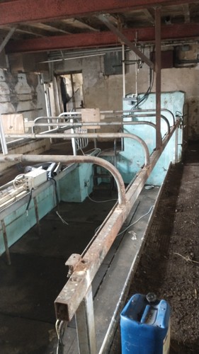 Milking parlour rump railvery - parlour,