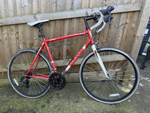 Barracuda corvus road - corvus, bike