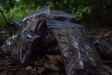 Mixed Leaf Litter, Boiled And Ready For Terrariums/ Bioactive Enclosures