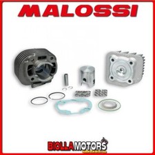 318562 THERMAL GROUP MALOSSI
