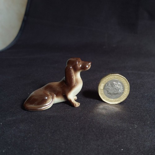 Lomonosov lfz dachshund - lomonosov,